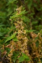 IMGP0990-1024.jpg