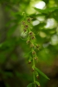 IMGP1107-1024~0.jpg