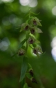 IMGP1112-1024~0.jpg