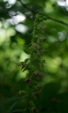 IMGP1123-1024~0.jpg