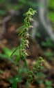IMGP1133-1024~0.jpg