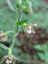 IMG_20250710_154115-1024~0.jpg