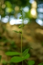 IMGP1012-1024.jpg