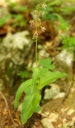 IMGP1045-1024.jpg