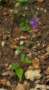IMGP1078-1024.jpg