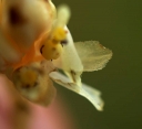 IMGP1103-1024.jpg