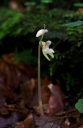 IMGP1227-1024.jpg