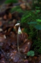 IMGP1234-1024.jpg