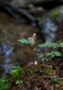 IMGP1324-1024.jpg