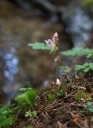 IMGP1325-1024.jpg