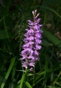 IMGP1346-1024.jpg