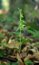 IMGP1402-1024.jpg