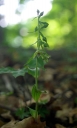 IMGP1412-1024.jpg