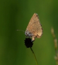 IMGP1502-1024.jpg