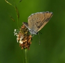 IMGP1520-1024.jpg