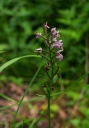IMGP1684-1024.jpg