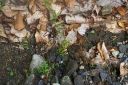 IMGP1708-1024.jpg