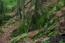 IMGP1736-1024.jpg