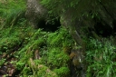 IMGP1761-1024.jpg