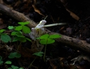IMGP1779-1024.jpg