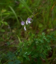 IMGP1836-1024.jpg
