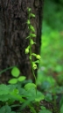 IMGP1985-1024~0.jpg