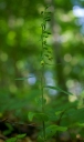 IMGP2012-1024.jpg