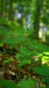 IMGP2013-1024.jpg