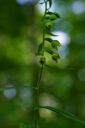 IMGP2015-1024.jpg