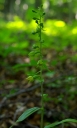IMGP2021-1024.jpg