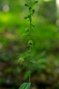 IMGP2032-1024.jpg