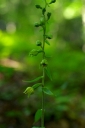 IMGP2033-1024.jpg