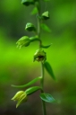 IMGP2048-1024.jpg