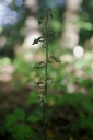 IMGP2420-1024.jpg
