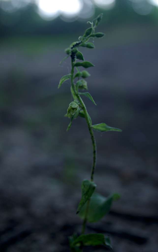 IMGP2180-1024.jpg