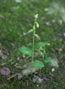 IMGP2179-1024.jpg