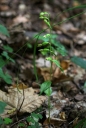 IMGP2877-1024.jpg