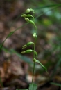 IMGP2880-1024.jpg