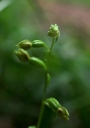 IMGP2883-1024.jpg