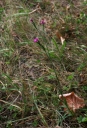 IMGP2910-1024.jpg
