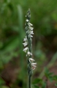IMGP2945-1024.jpg