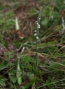 IMGP2950-1024.jpg
