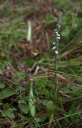 IMGP2951-1024.jpg