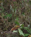 IMGP2977-1024.jpg