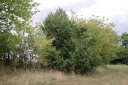 IMGP2998-1024.jpg