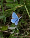 IMGP3009-1024.jpg
