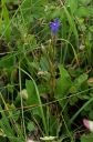 IMGP3010-1024.jpg