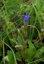 IMGP3012-1024.jpg