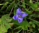IMGP3015-1024.jpg