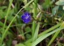 IMGP3019-1024.jpg